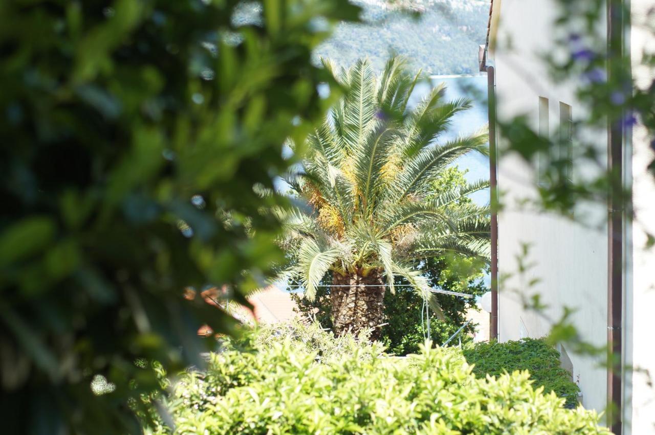 Appartamento Oasis Blue Korčula Esterno foto